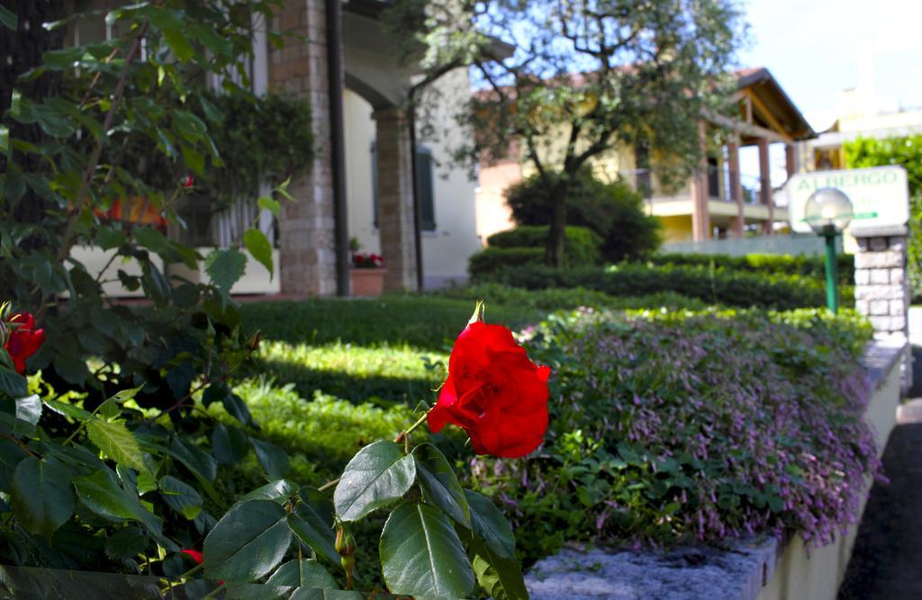 Albergo La Quiete Desenzano del Garda Exterior foto